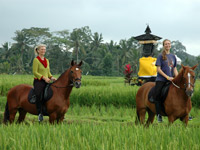 Rice Field Tour / Horseback Riding in Bali