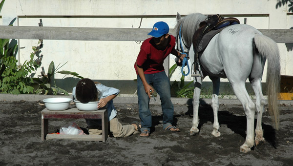 Hey! save some for the horse